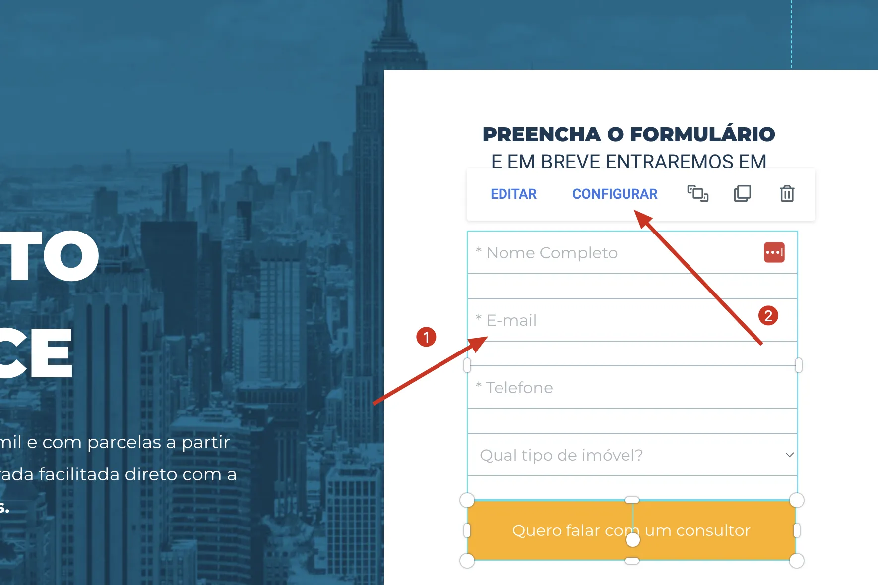 3. Editando e Configurando o Formulário de Conversão